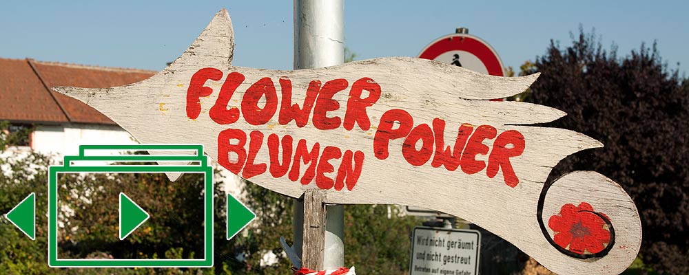 das slideshow-Fenster für 'flowerpower.bayern' anzeigen ...
Martina Spannruft - Floristikmeisterin - Werkstatt für Blumenkunst