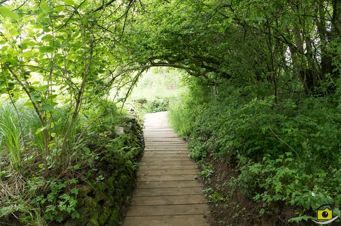 Wildgarten Furth im Wald
Unterwasser Beobachtungs-Station | © wildgarten-furth.de